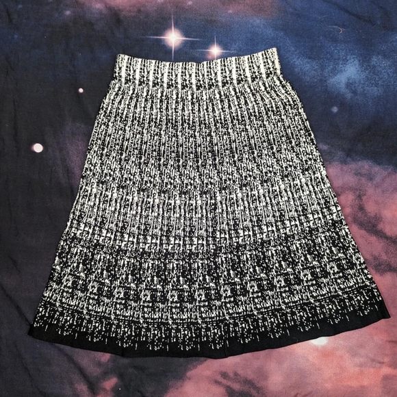 Roz & Ali Dresses & Skirts - Roz & Ali Black & White Static A-line Skirt